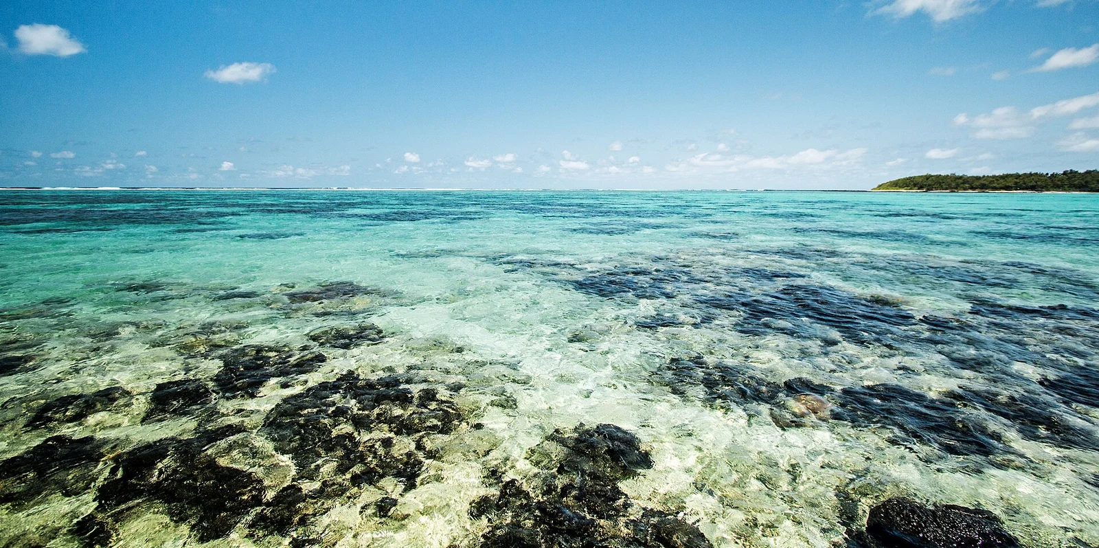 The blue water and shore at Blue Bay, Mauritius