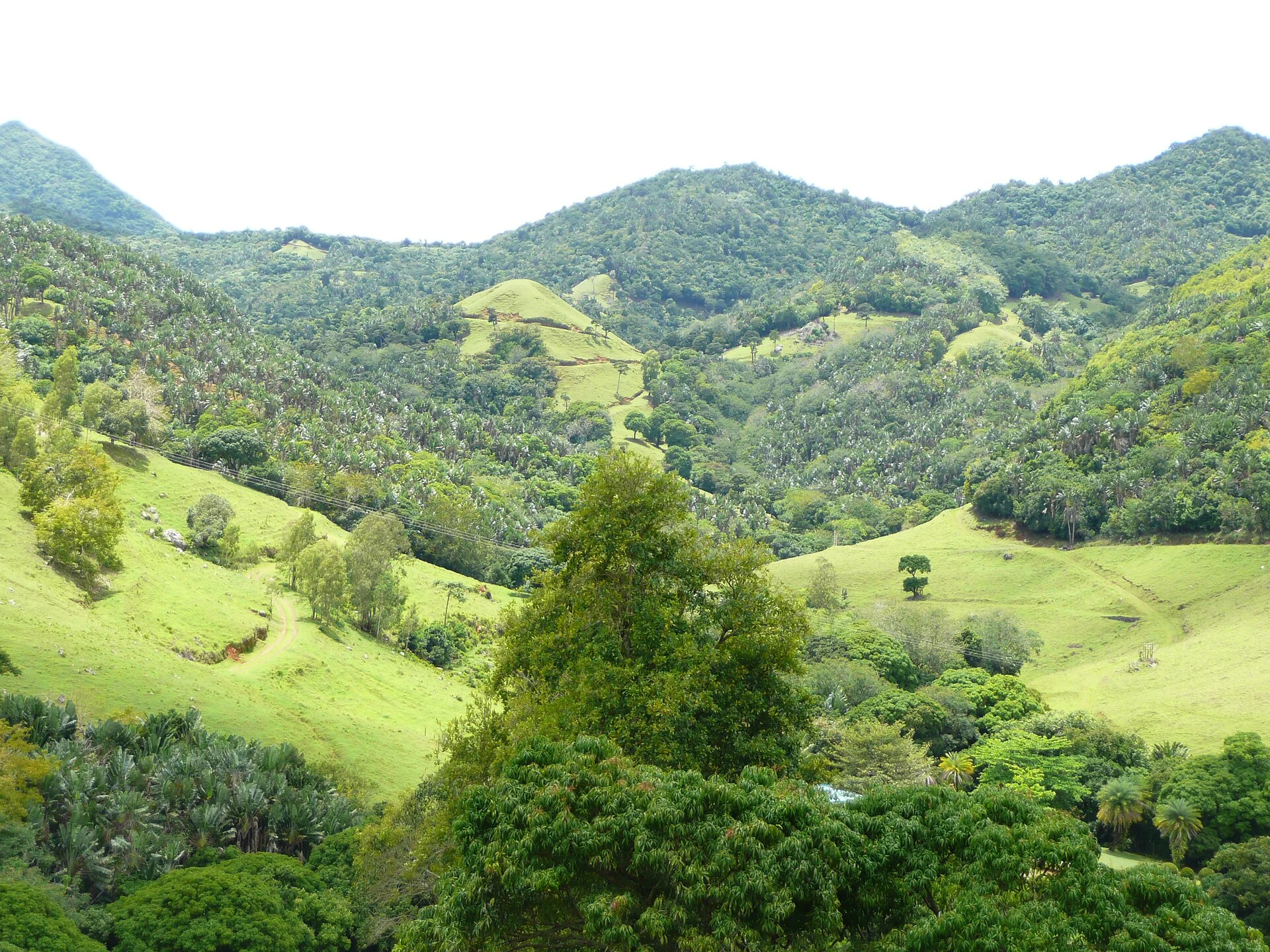 The green landscape of Vallée de Ferney