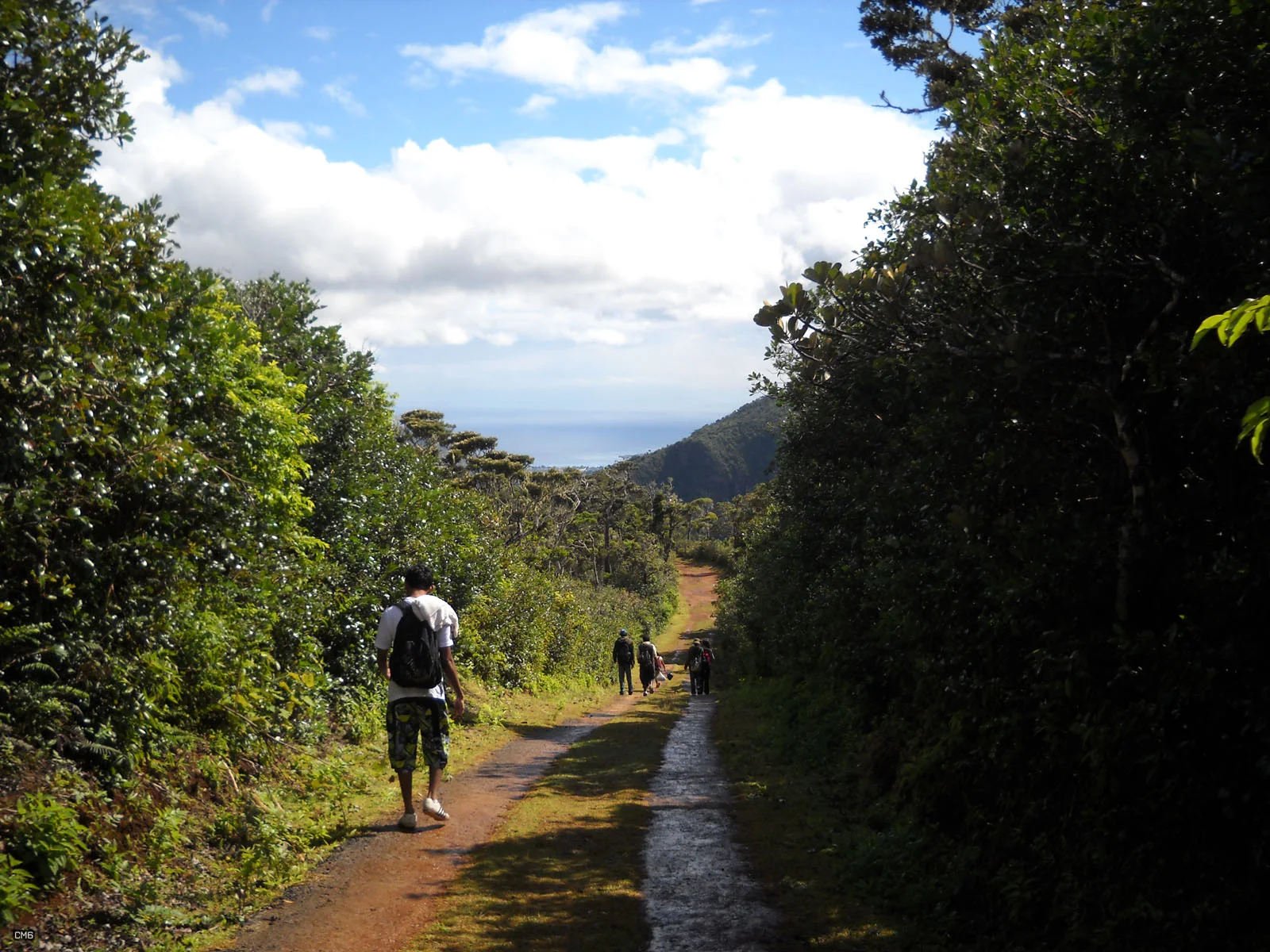 Walkers on the Macchabée Trail above the forested valleys of Mauritius