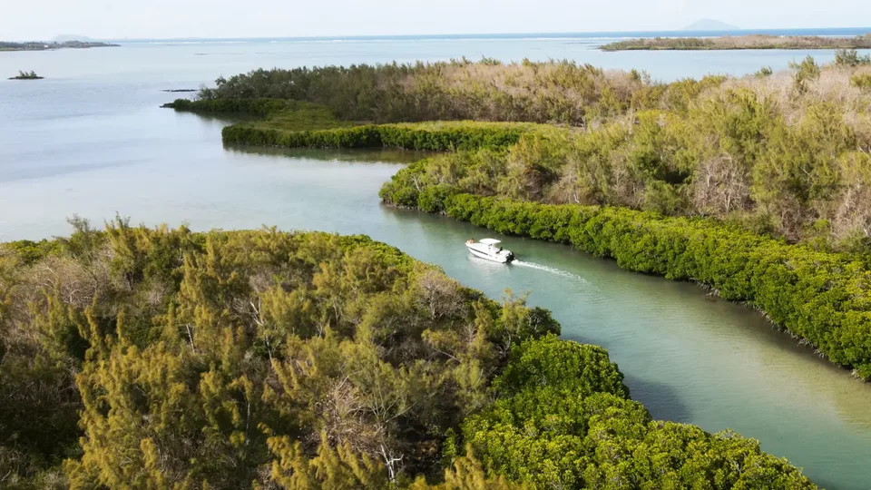 Mangroven und flache Küstenkanäle auf Mauritius