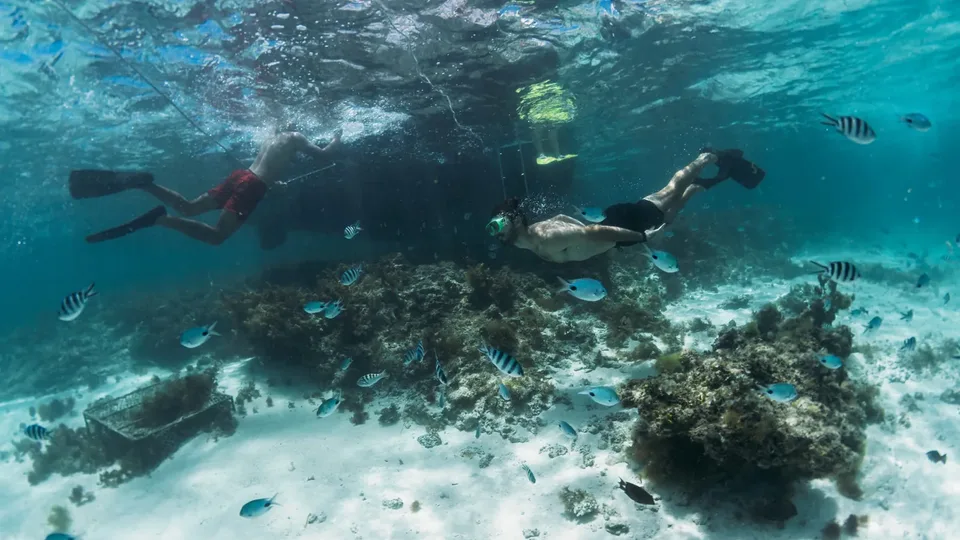 Schnorchler über dem Riff auf Mauritius