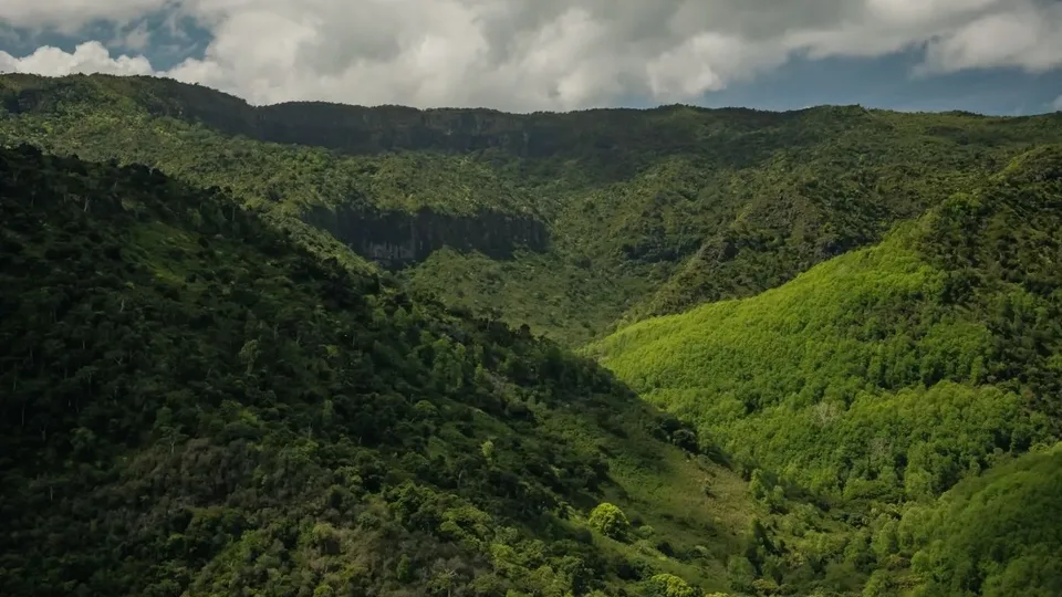Black River Gorges的森林与山地