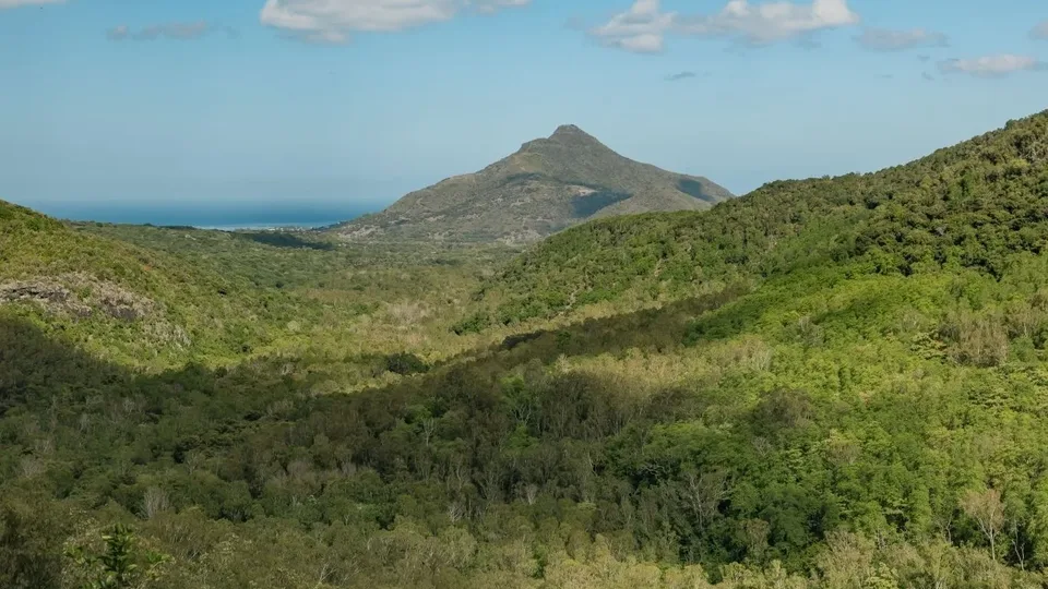 Bosque y montañas de Black River Gorges