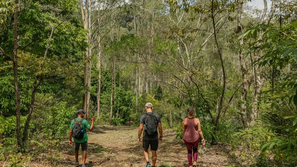 Caminantes en un sendero de Black River Gorges