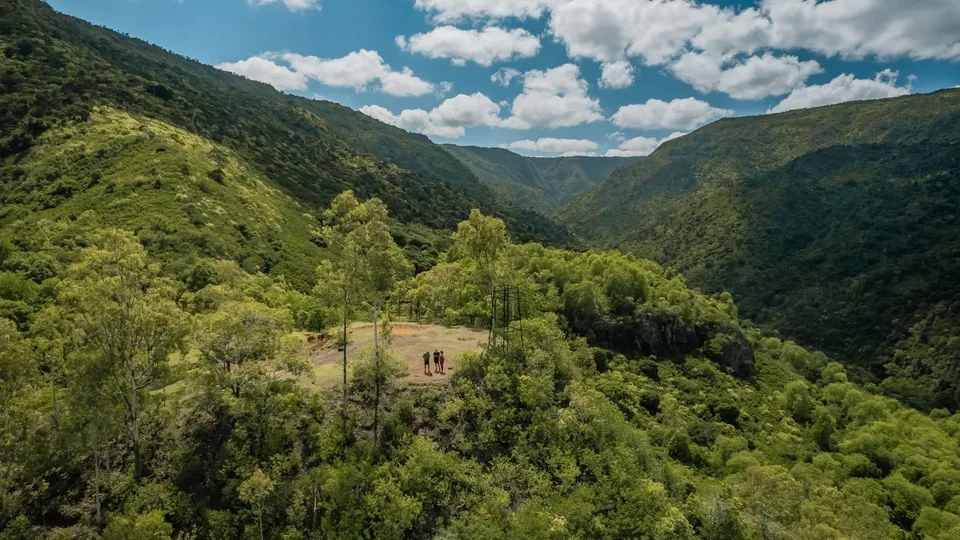 Forest and hills in Black River Gorges
