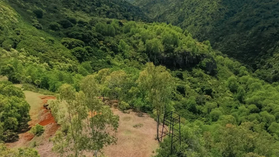 Wald und Berge in Black River Gorges